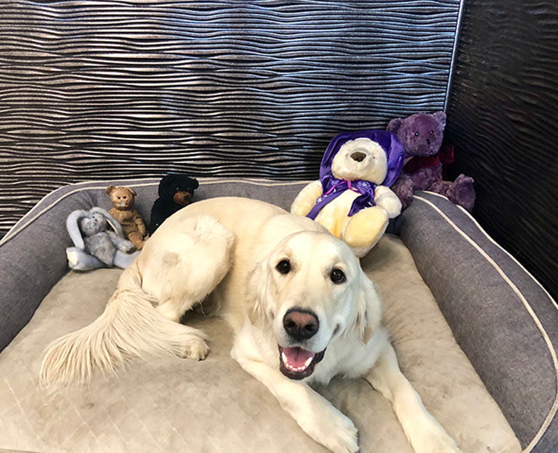 Auto Repair in Lake Washington, CA Auto Repair in Lake Washington, CA